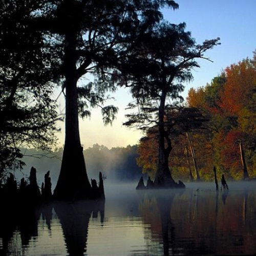 White River National Wildlife Refuge